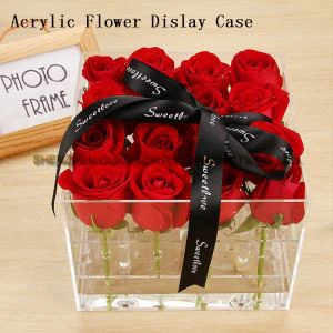 Kev Kho Dais Hloov Kho Mob Cov Ntxhuav Acrylic Cov Zaub Uas Muaj Cov Ncauj Lom